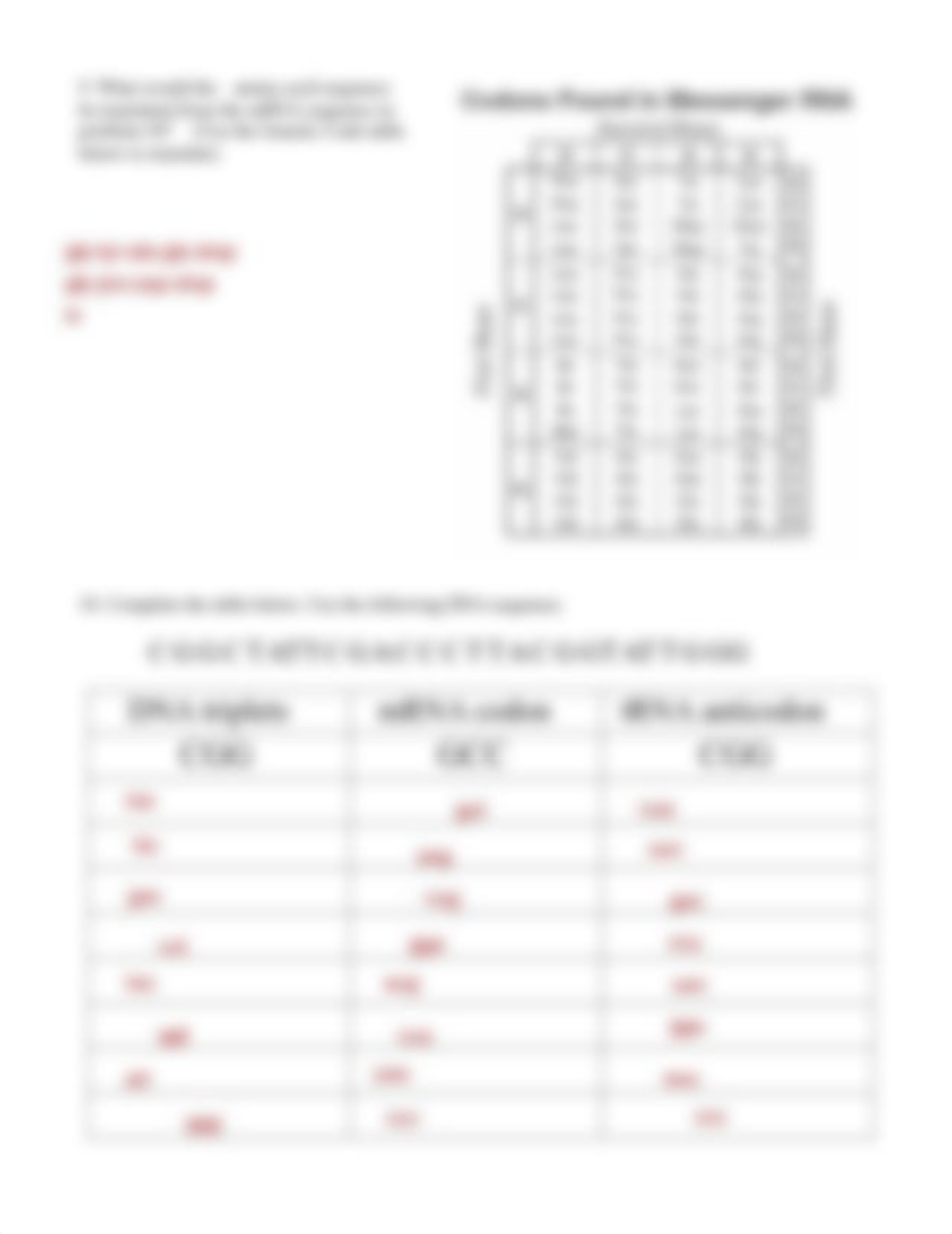 EGAN RAWN - worksheet DNA RNA Protein Syn.pdf_dvr8fvjc747_page2