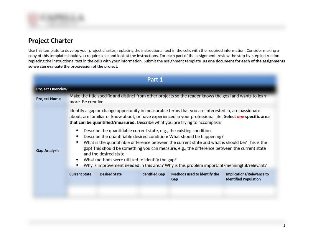 NHS8040 Project Charter Template.docx_dvrp2fgi46b_page1