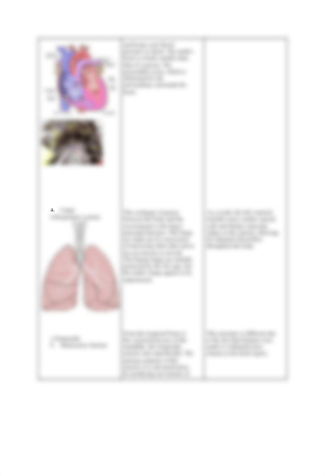 Copy of Comparing Mink and Humans.pdf_dvs5mb9j0od_page2