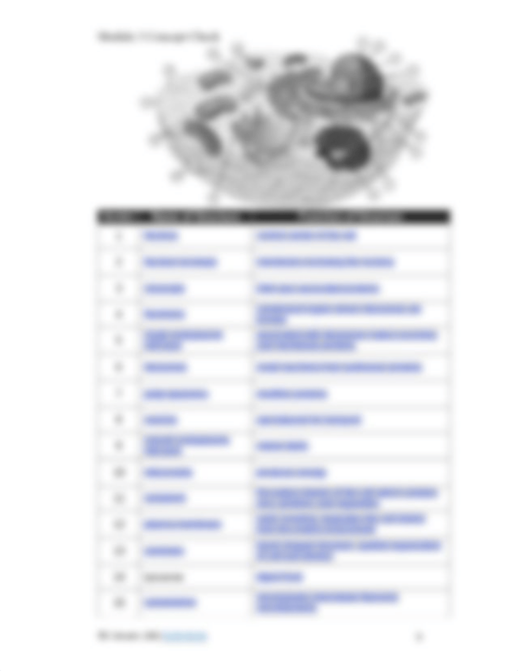 Module 3 Concept check 2022.pdf_dvsgh0p1202_page3