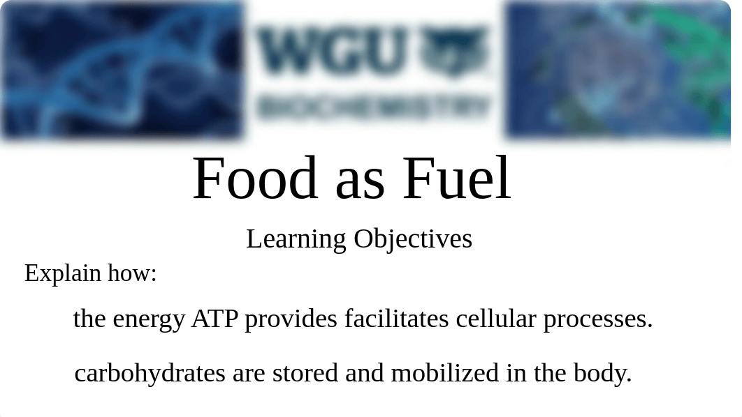 Carbohydrates Recorded Cohort Part 1 Slides.pdf_dvsnw6bqwtf_page5