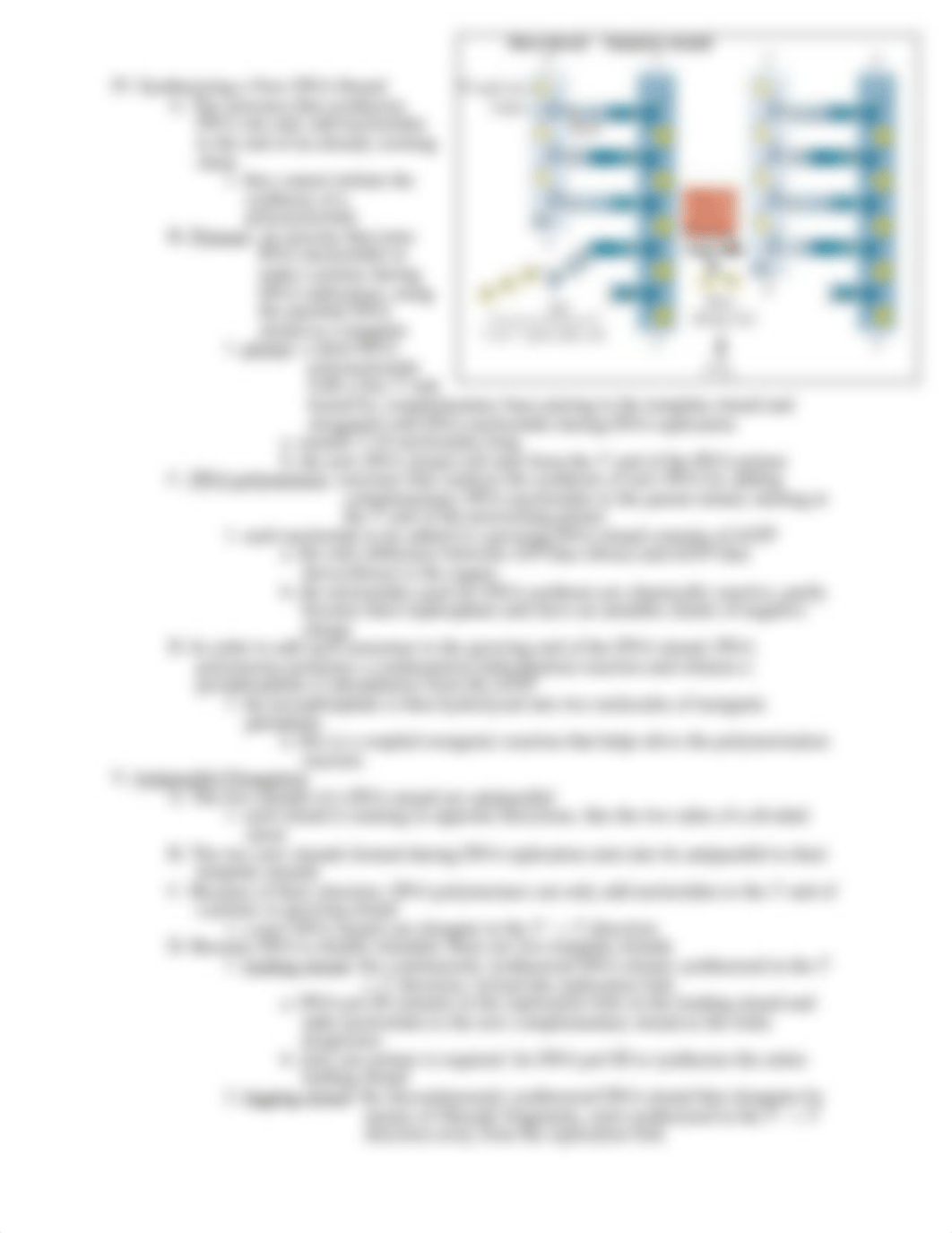 AP_Biology_Chapter_13_Notes.pdf_dvspw25eatv_page3