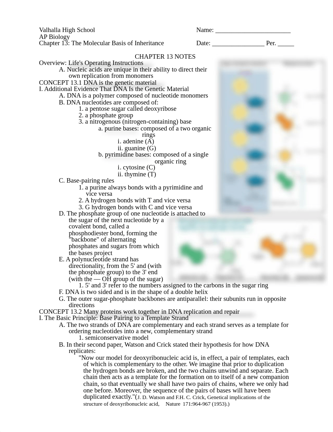 AP_Biology_Chapter_13_Notes.pdf_dvspw25eatv_page1