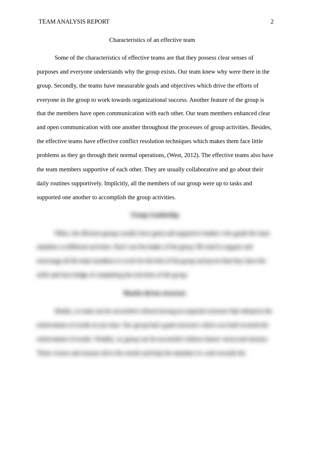 Team Analysis Report.docx_dvsurofbjnt_page2