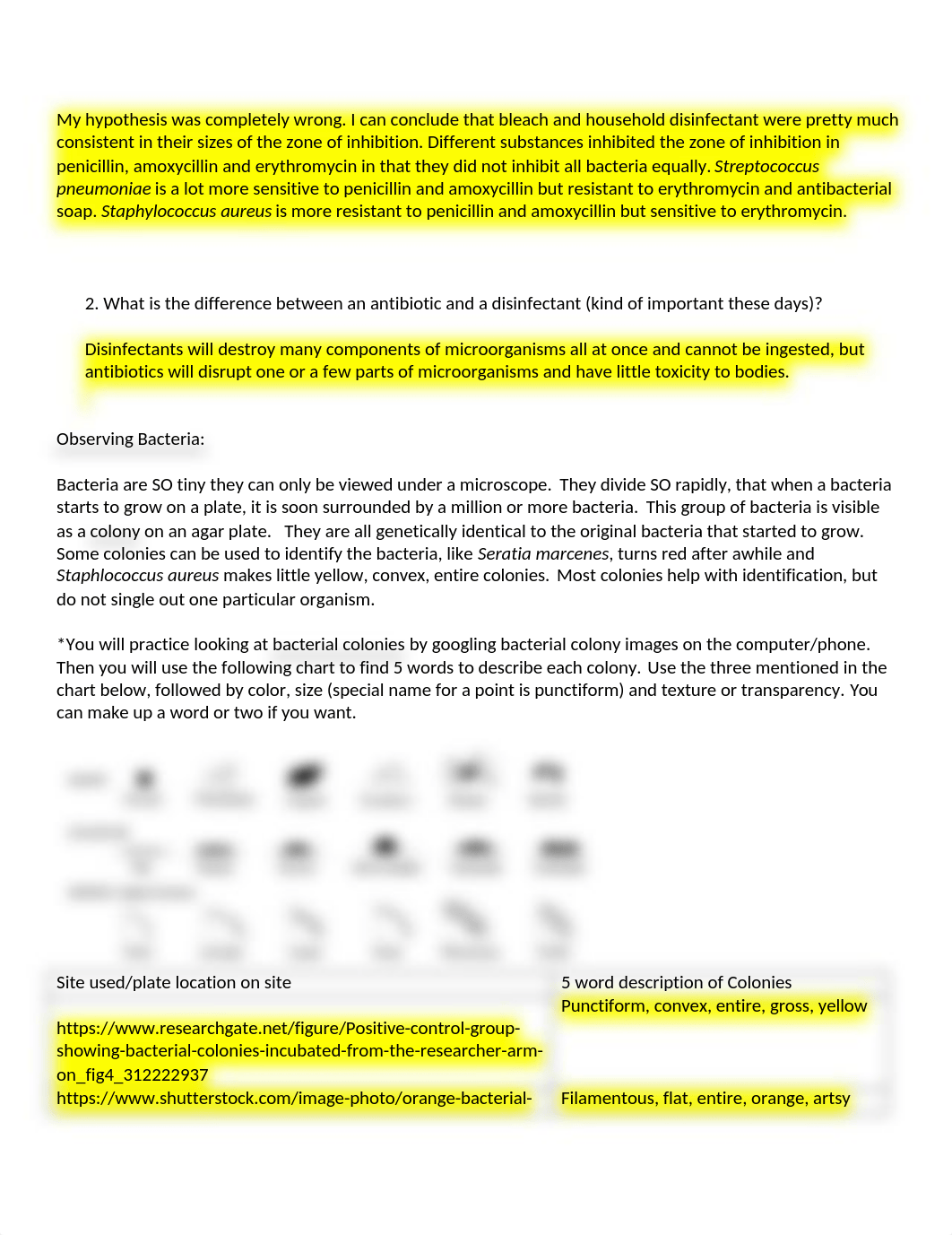 Lab # 16 Bacteria Lab Report-1 (2).docx_dvswwixqnzf_page2