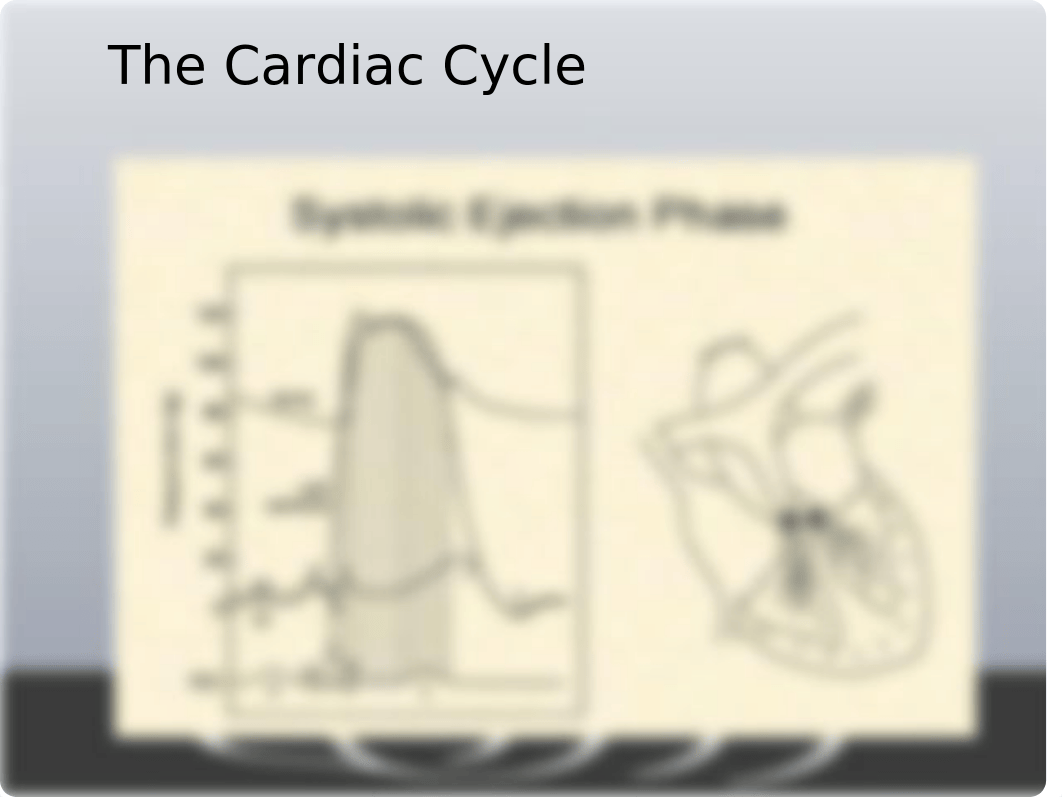 Hemodynamics 2019.pptx_dvt9cnkuw0u_page5