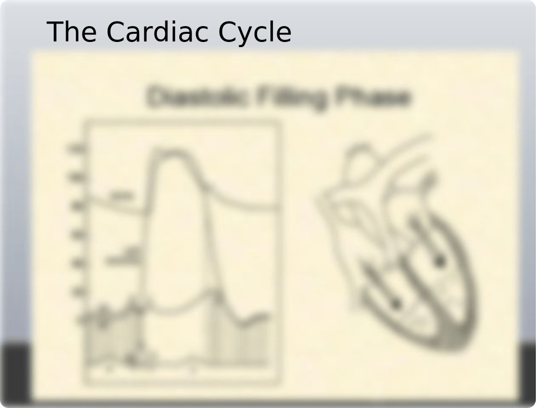 Hemodynamics 2019.pptx_dvt9cnkuw0u_page4