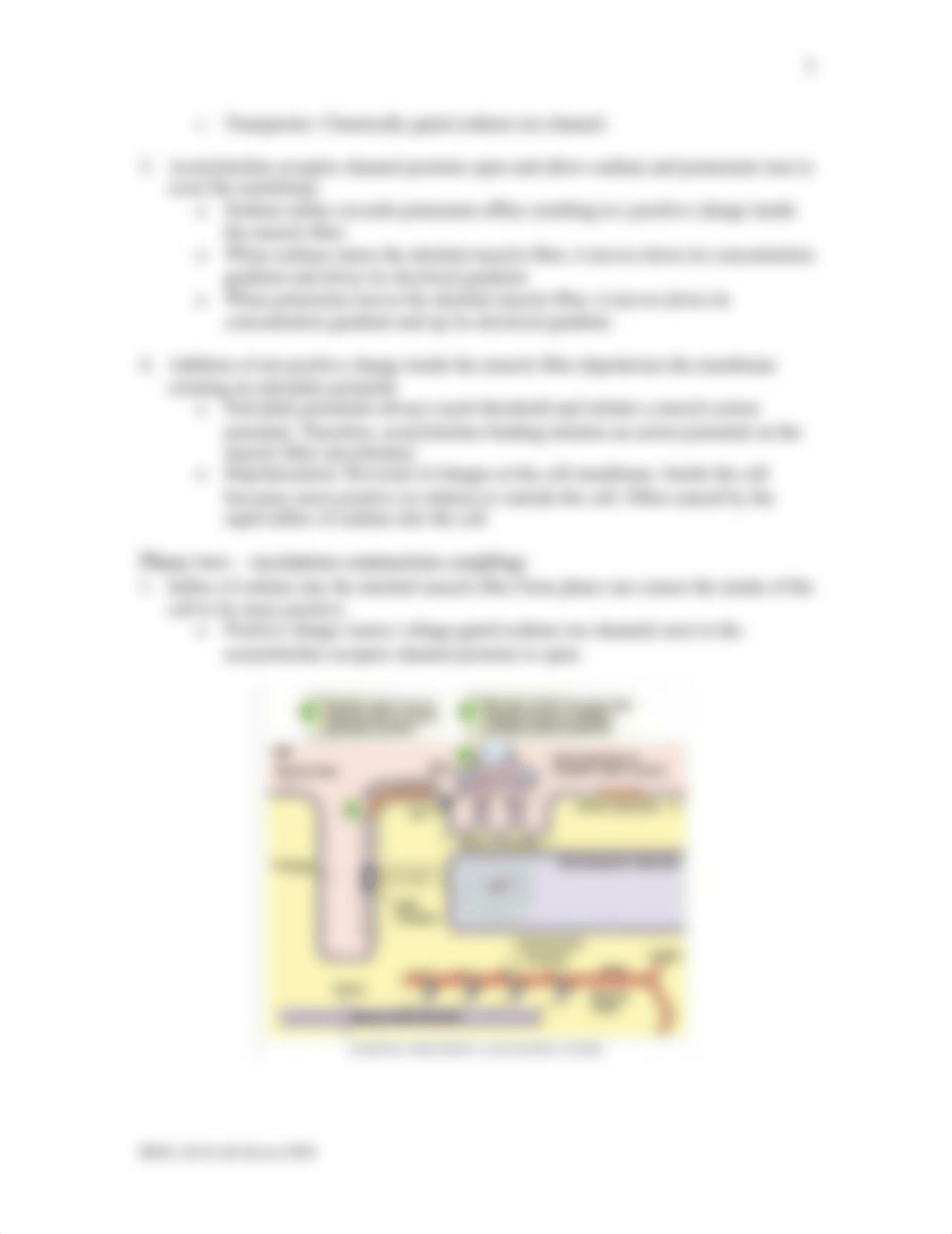 Lab Seven - Skeletal Muscle Physiology 2020 final.doc_dvtlf9gry30_page3