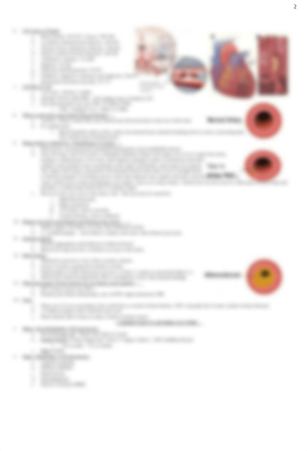 DOOS Exam 1 Study Guide.docx_dvtsp2waj6x_page2