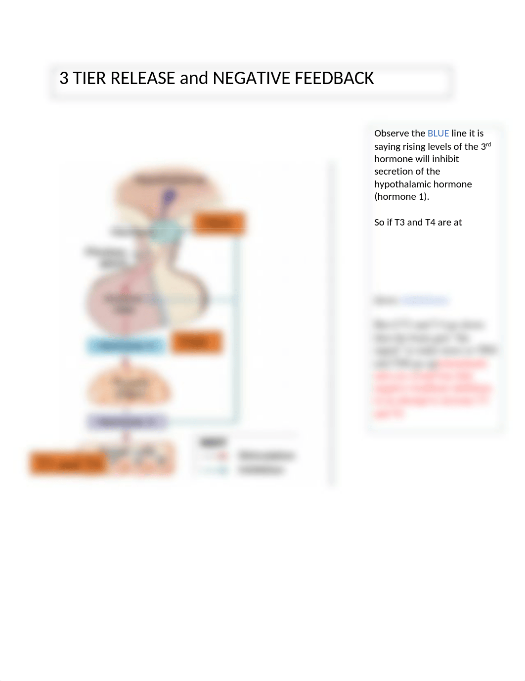 3-Tier Relaese Thyroid.docx_dvtsvdcksh5_page1