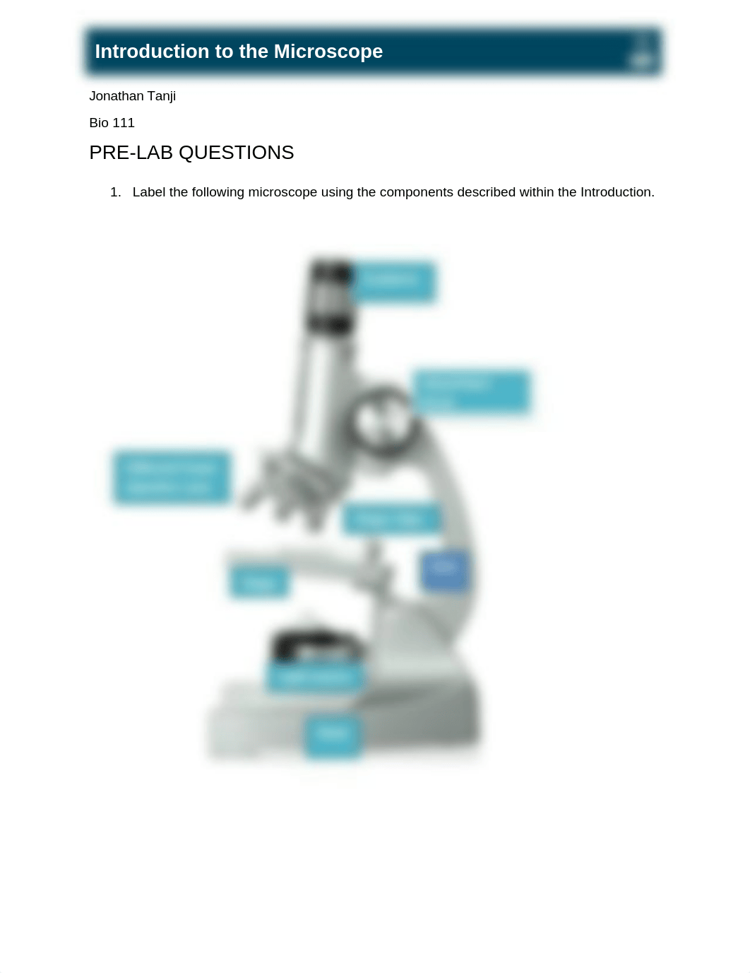 Introduction to Microscope.docx_dvtuefpbl8t_page1