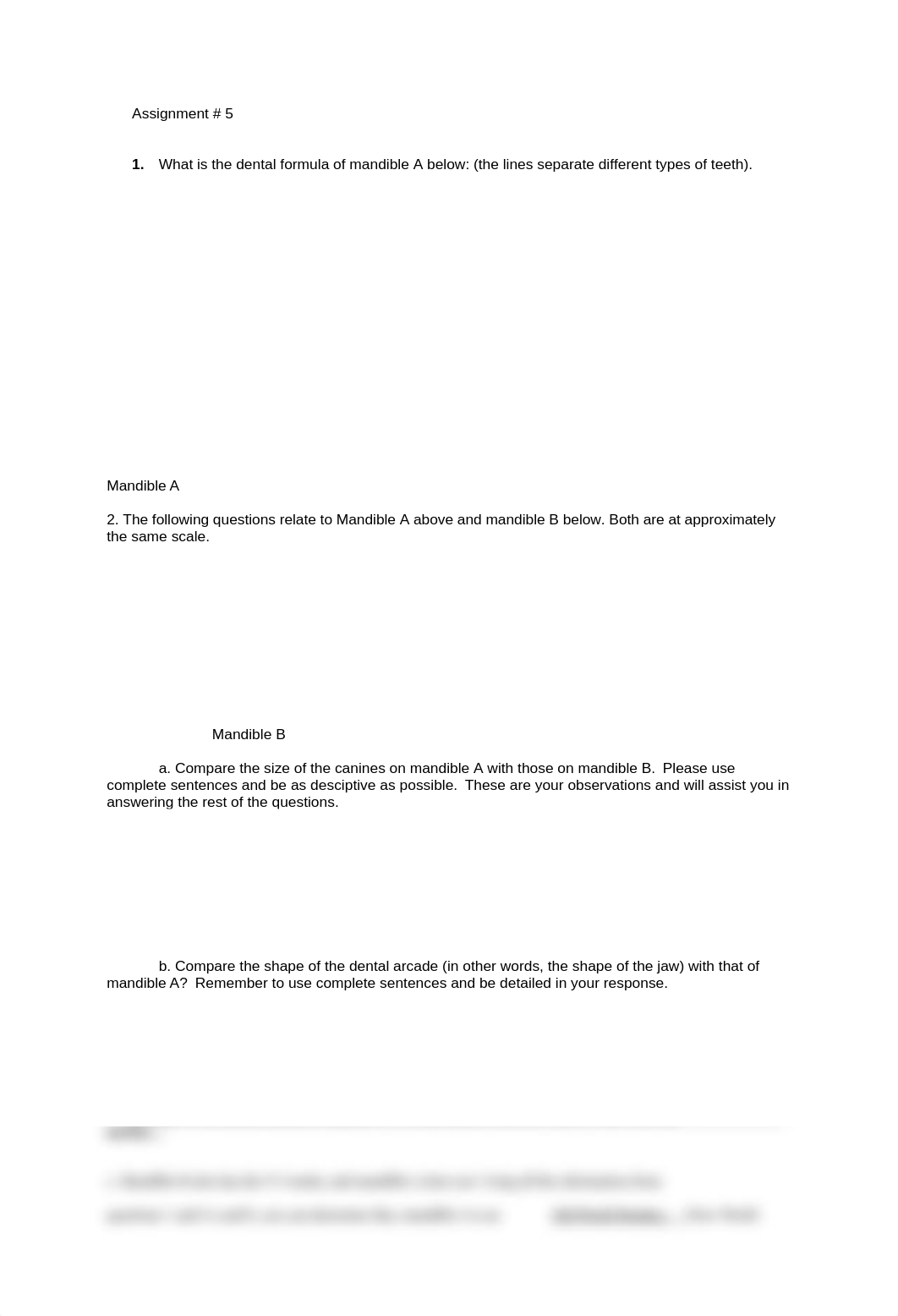 ANT_5.doc_dvtvhh34sd3_page1