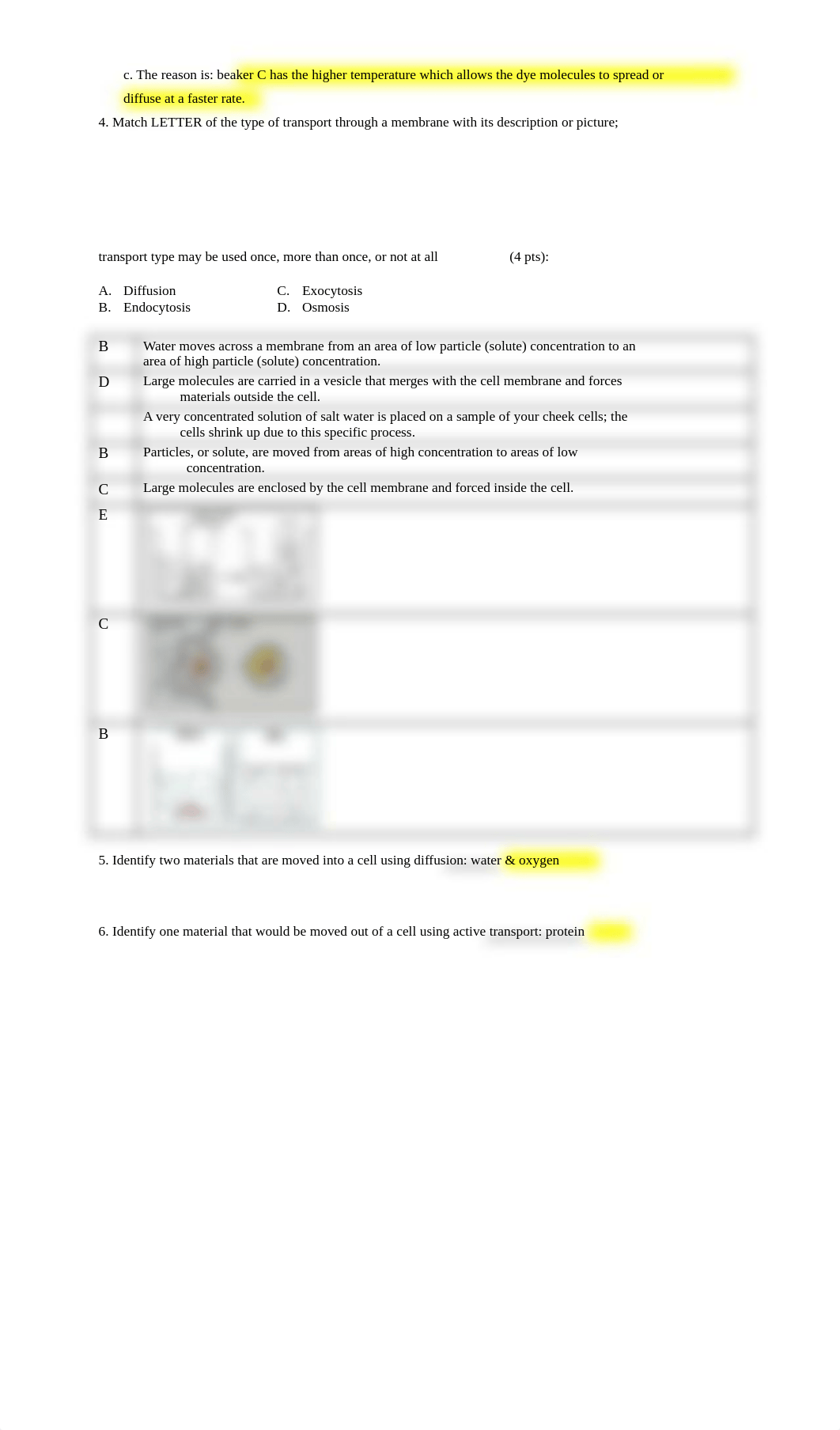 Bio 10 WORKSHEET for Movement Across a Cell Membrane Activity 9-14-2020.pdf_dvtyy15vysa_page2