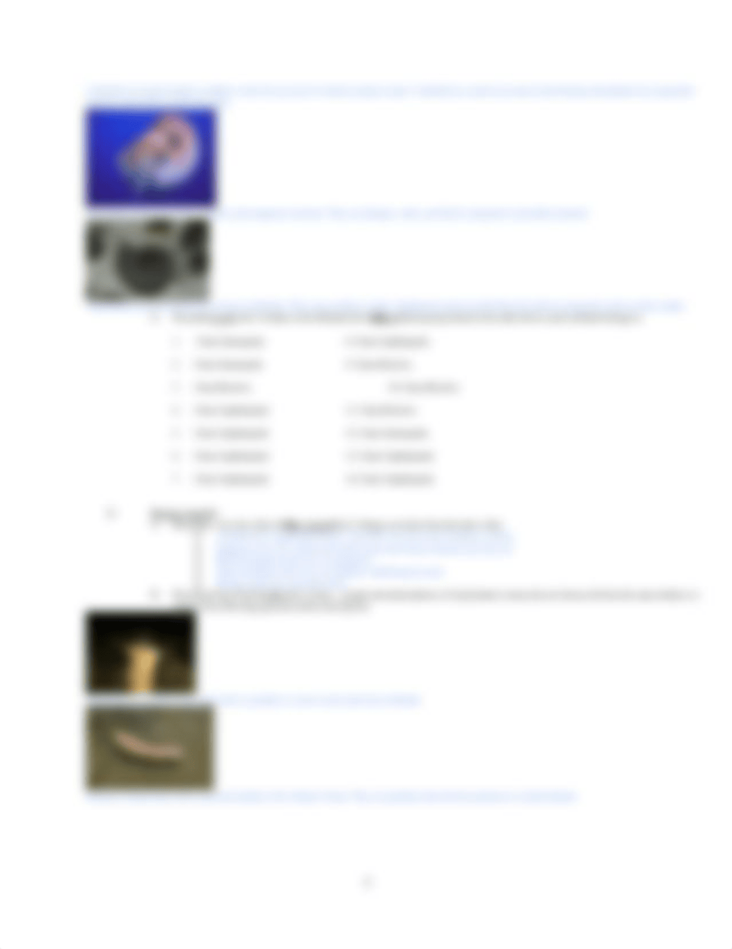 Bio Lab Molluscs, Annelids, and Arthropods.docx_dvu4z6wir58_page3