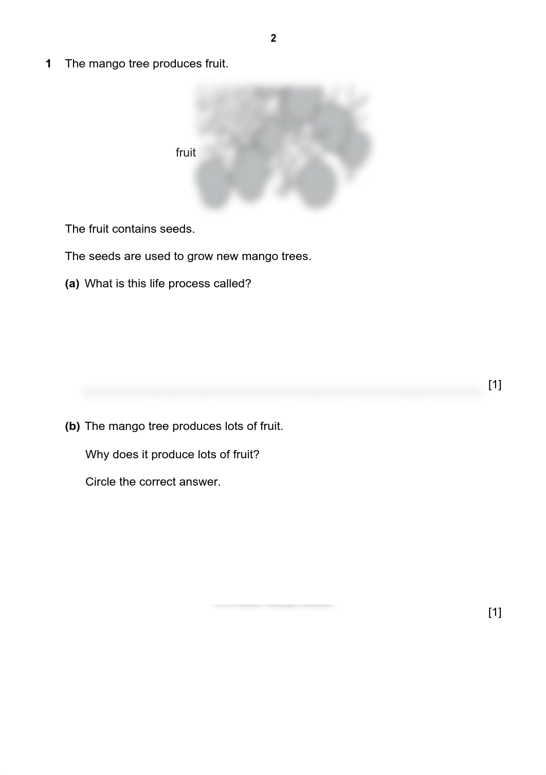 Checkpoint 2020 April Primary Science 0846 02 Question Paper.pdf_dvu7u3b9v5r_page2