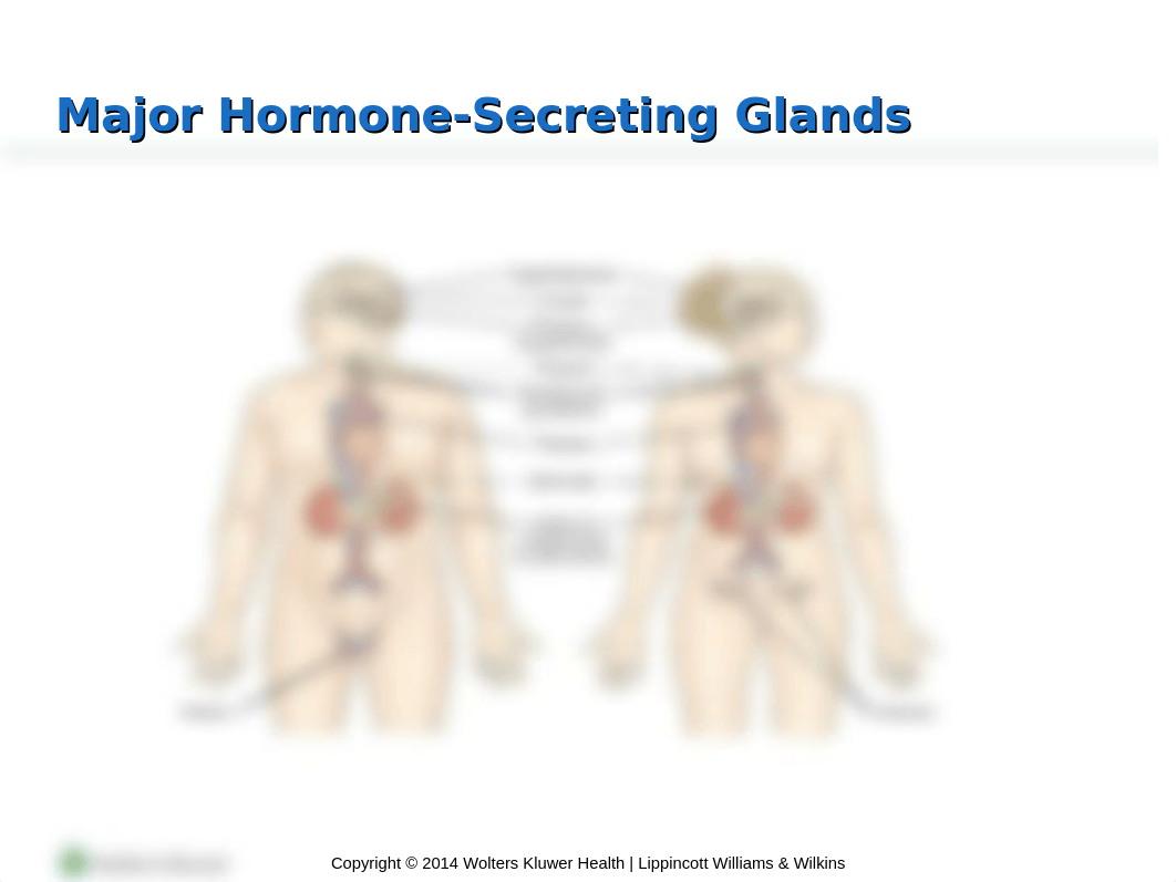 Endocrine+ch+52.pptx_dvuguv818ut_page4