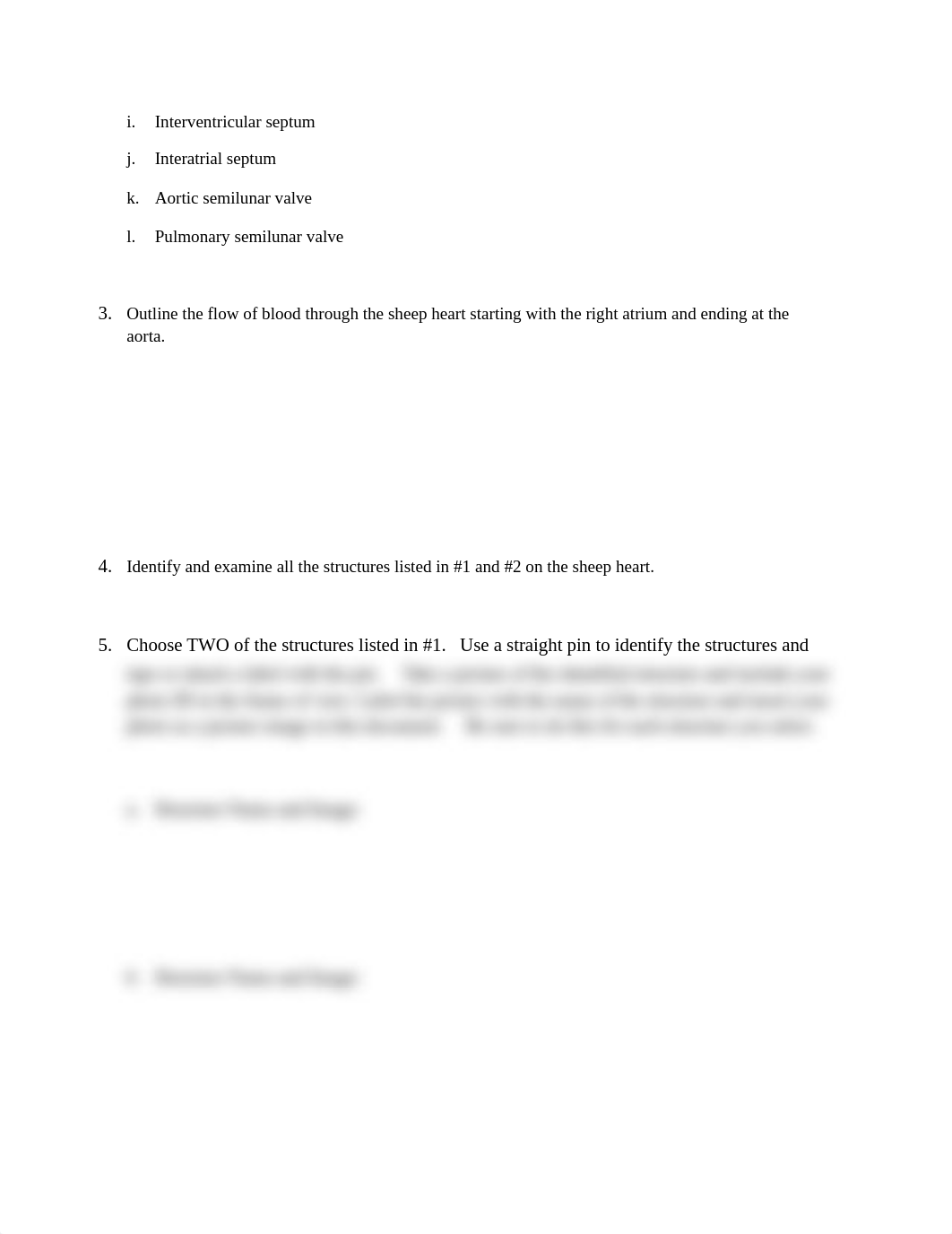 Dissection Lab Report_Sheep Heart(142).doc_dvuji6s16co_page2