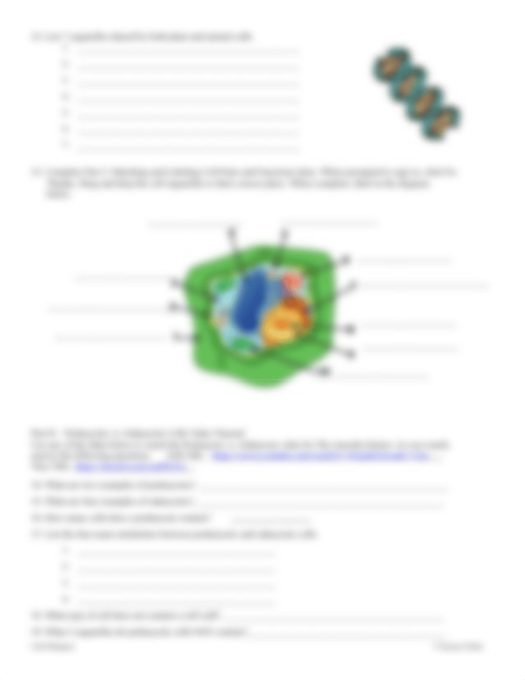 Handout for Cells Webquest.docx_dvujlk7ueog_page3