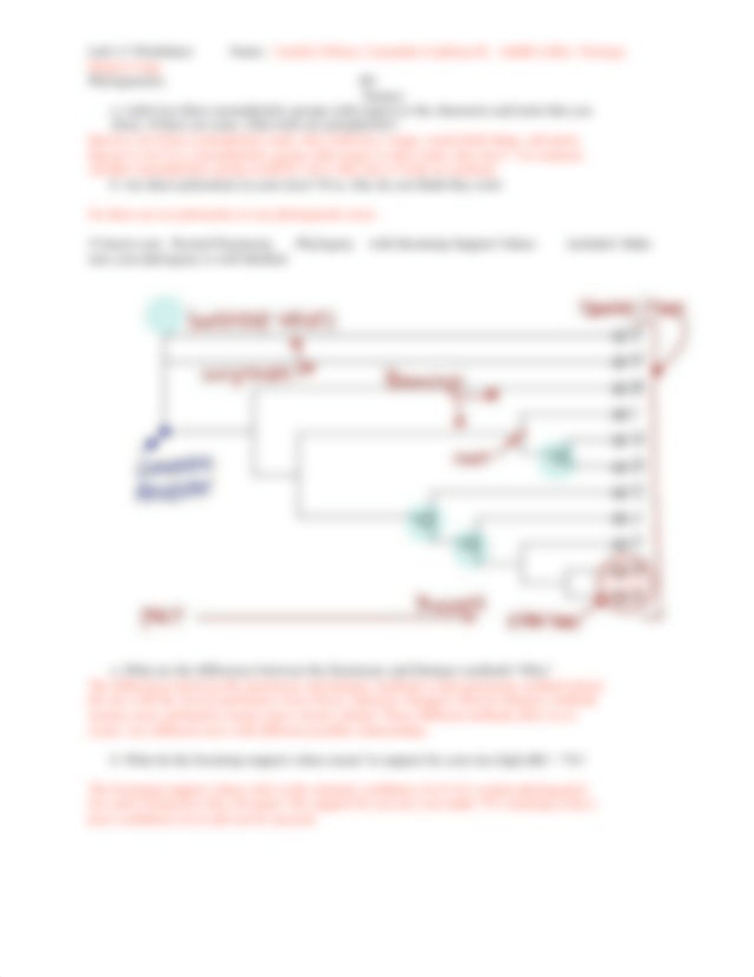 DLab_3-4_Phylo_Worksheet_5Feb2019.pdf_dvun3y22bo8_page3