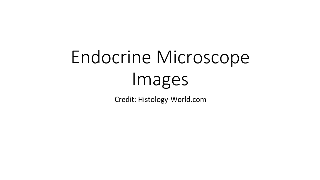 Anatomy lab endo images .pdf_dvuplamr4br_page1