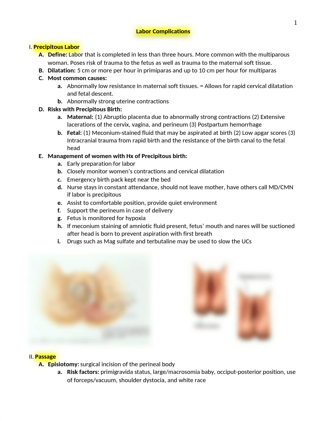 Exam 3 Outline-MB.docx_dvuqmlzey4d_page1