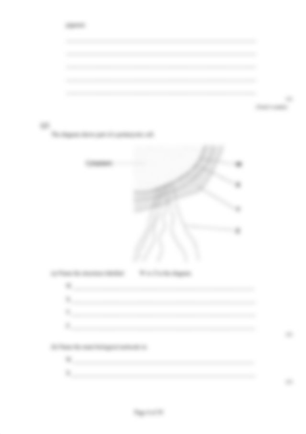 SandCCellstructure.rtf_dvur9gda0to_page4