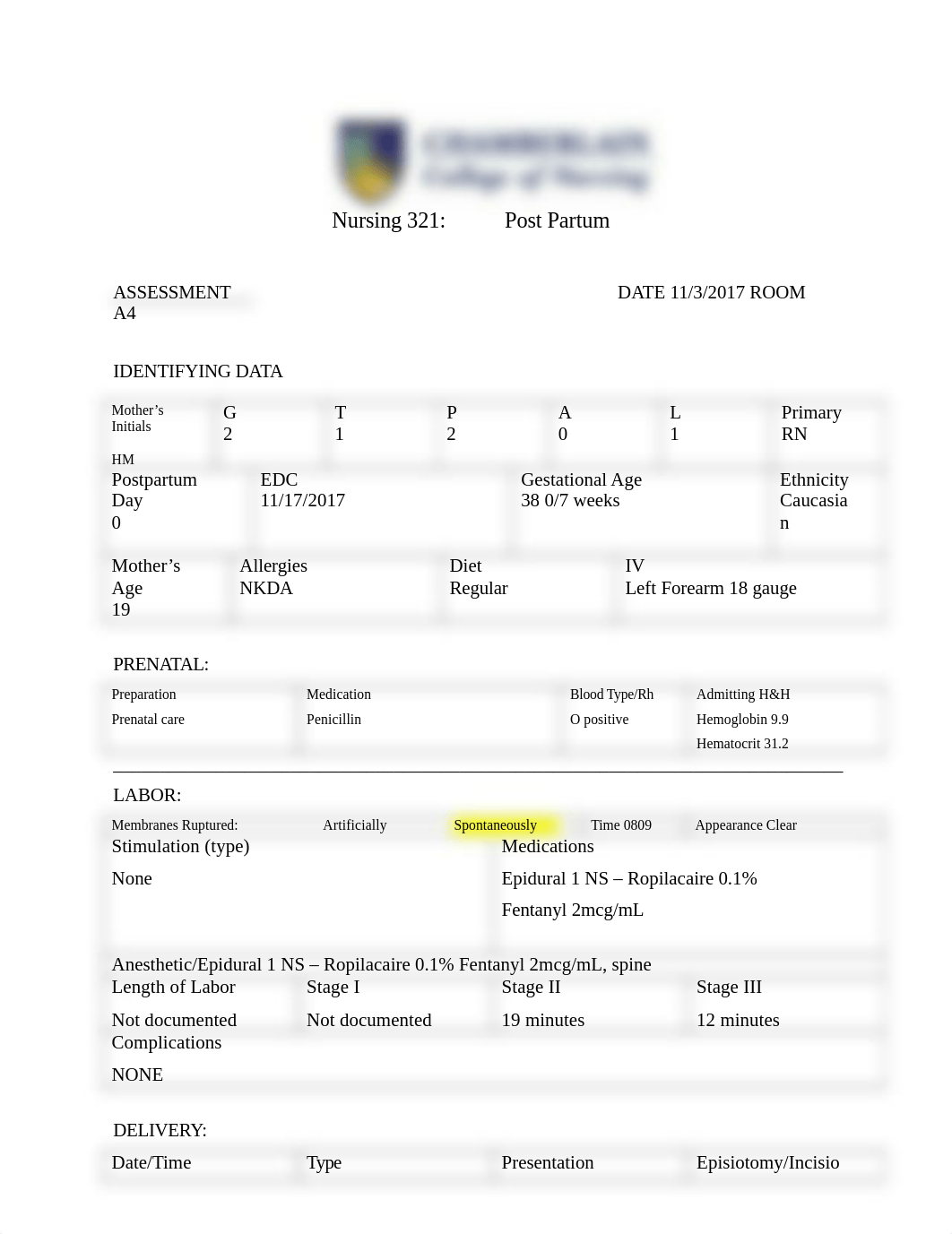 Post Partum Care Plan.doc_dvuyh4q12do_page1