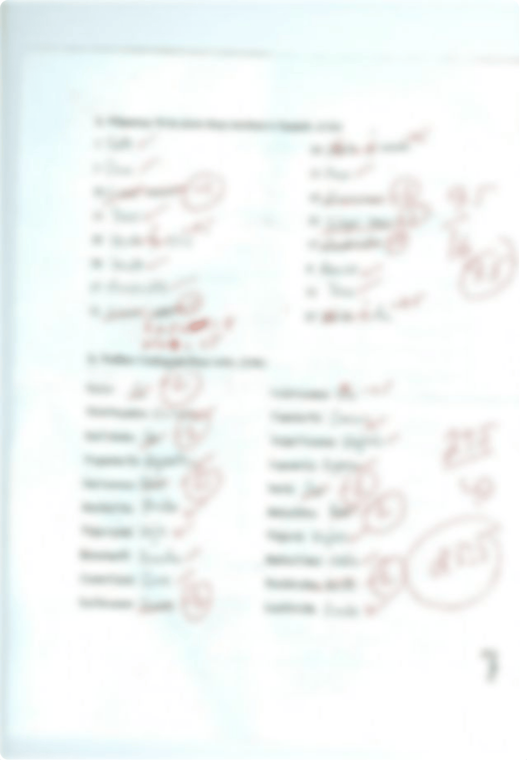 Beginning Spanish Exam 1_dvv4tzo6ucl_page2