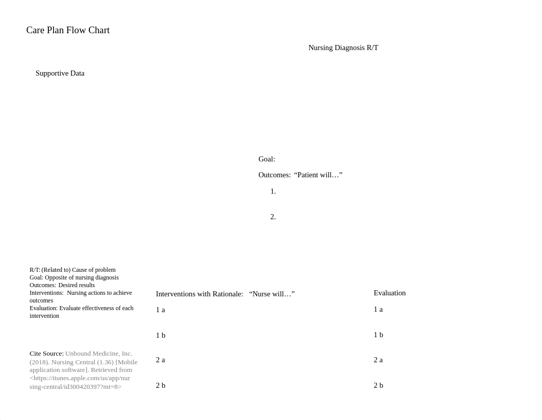 Blank Care Plan for Assignments_dvv6kxtc14u_page1