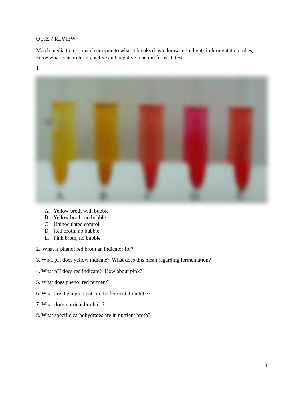 LAB FINAL.docx_dvvdltvtqhp_page1