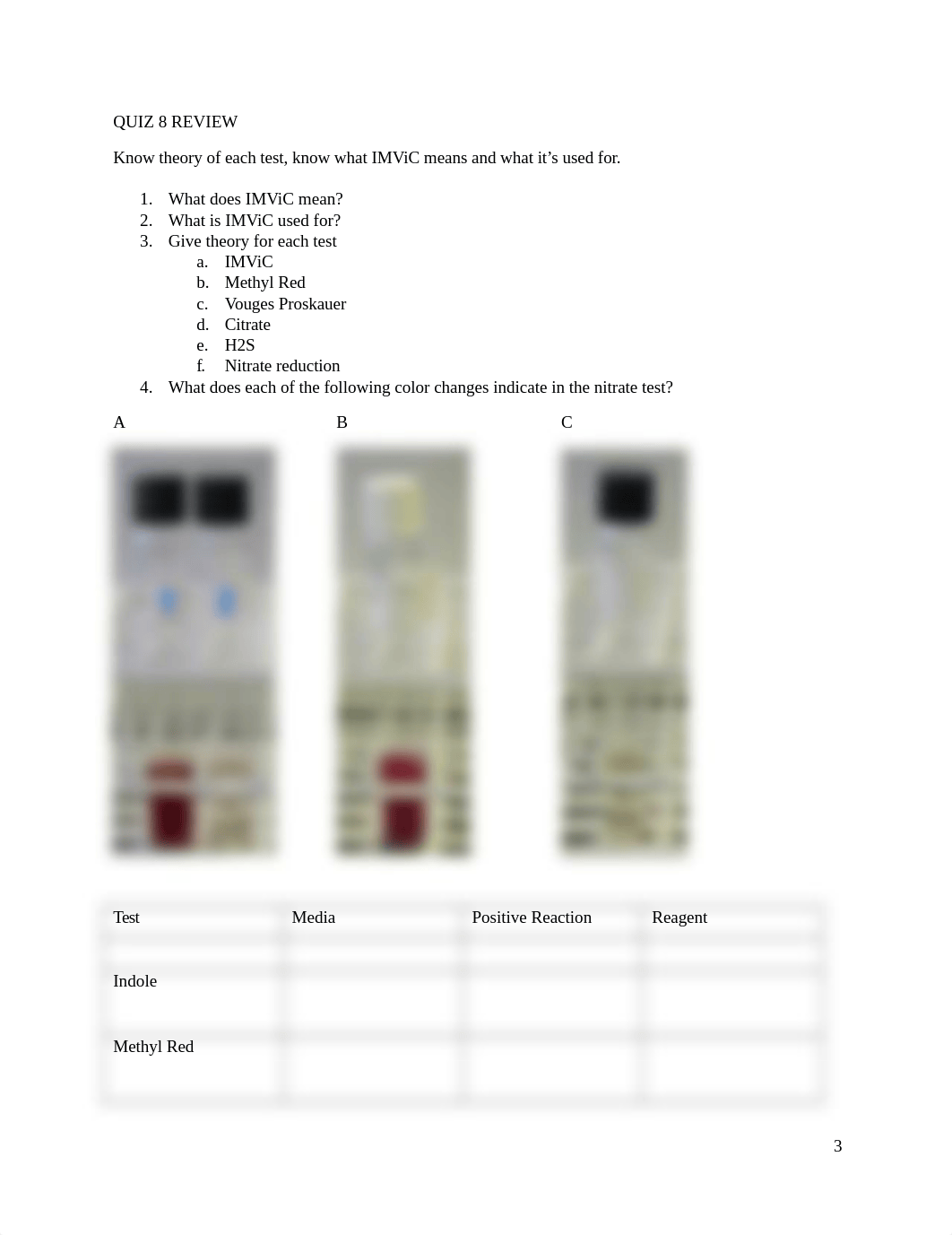 LAB FINAL.docx_dvvdltvtqhp_page3