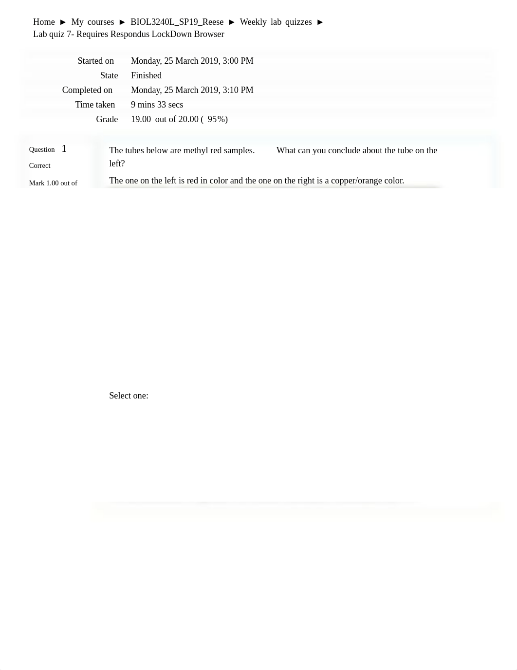 Quiz 7.pdf_dvvevumsb9b_page1