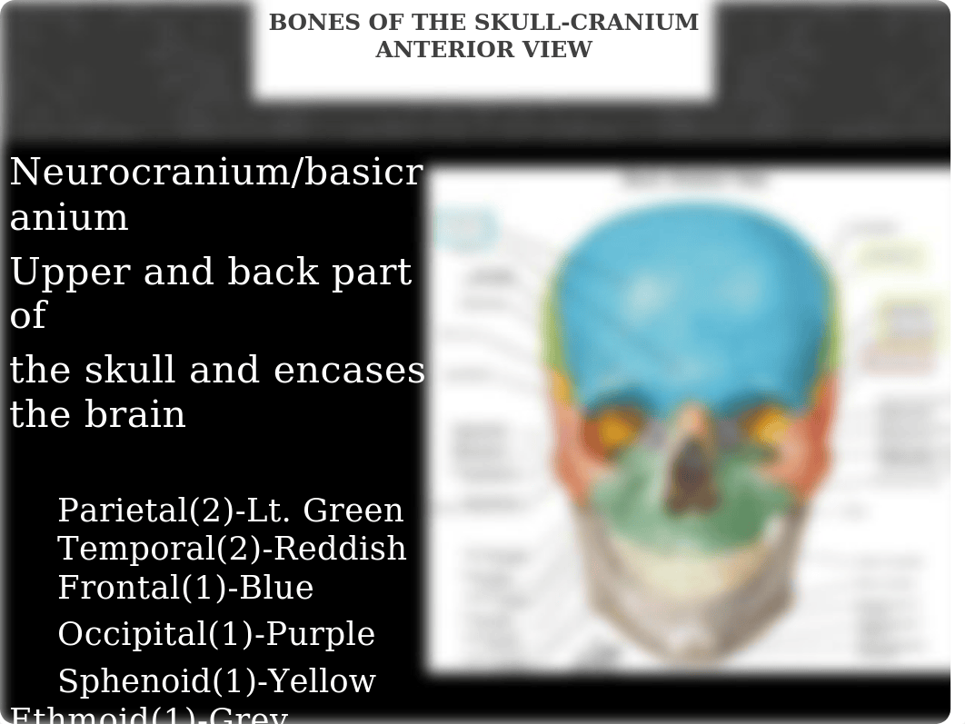 Week 1 Powerpoint-Bones of the Skull-Cranium-Updated SU 2020(1).pptx_dvvhs5oo723_page1