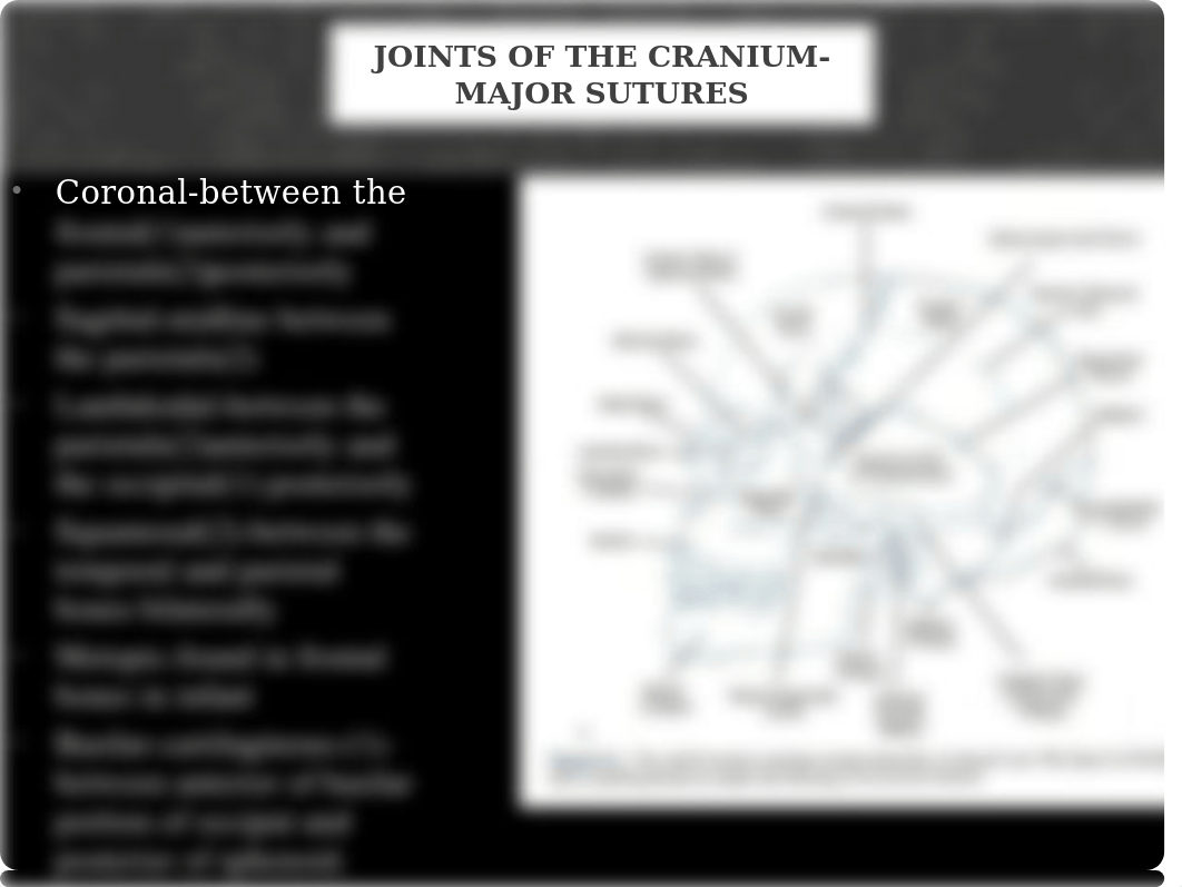 Week 1 Powerpoint-Bones of the Skull-Cranium-Updated SU 2020(1).pptx_dvvhs5oo723_page5