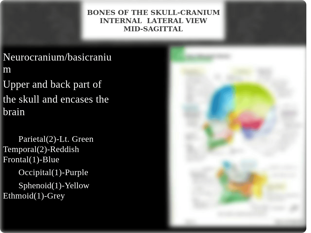 Week 1 Powerpoint-Bones of the Skull-Cranium-Updated SU 2020(1).pptx_dvvhs5oo723_page3