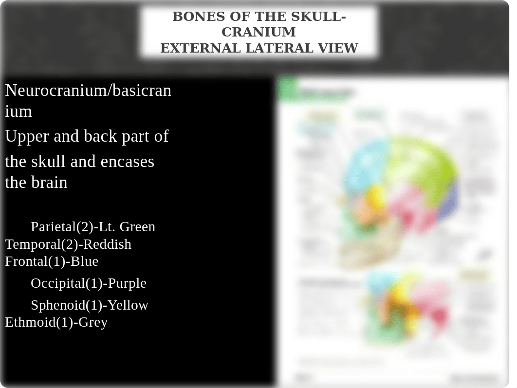 Week 1 Powerpoint-Bones of the Skull-Cranium-Updated SU 2020(1).pptx_dvvhs5oo723_page2