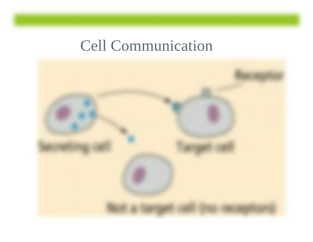 AP_Bio_Unit_4.pdf_dvvnf9u8zj3_page4