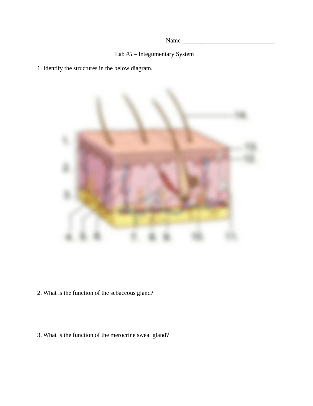 Lab 5 Lab Report Integumentary System.docx_dvvql5h093u_page1