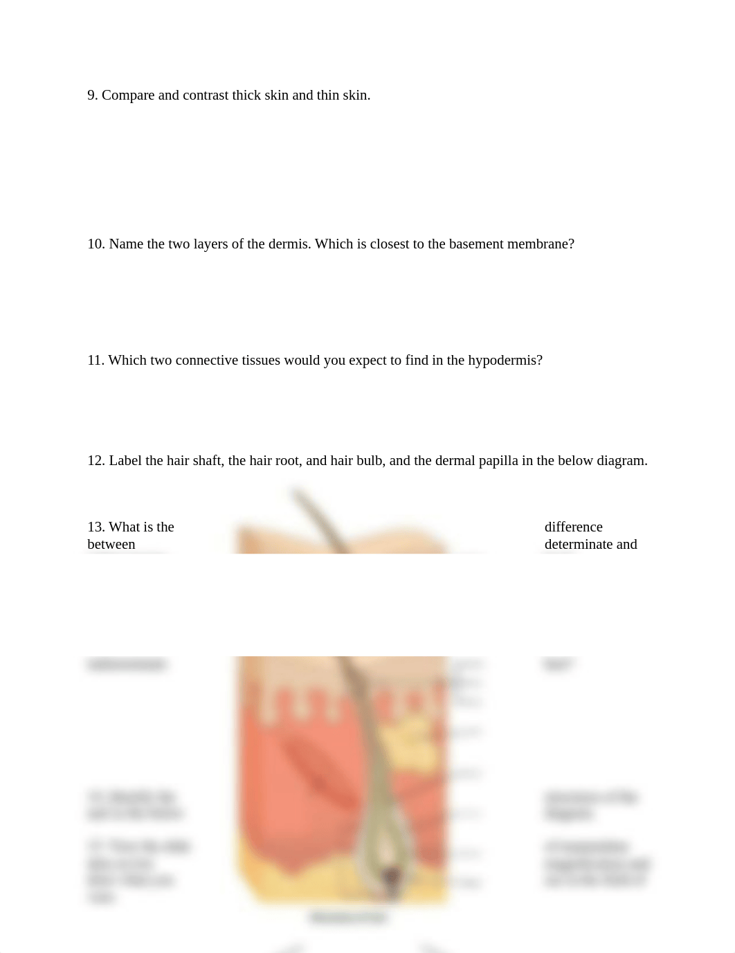 Lab 5 Lab Report Integumentary System.docx_dvvql5h093u_page3