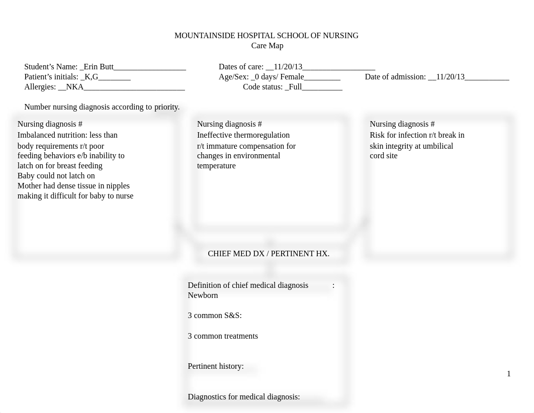 Care plan newborn nursery pdf.pdf_dvvt2jbps43_page1