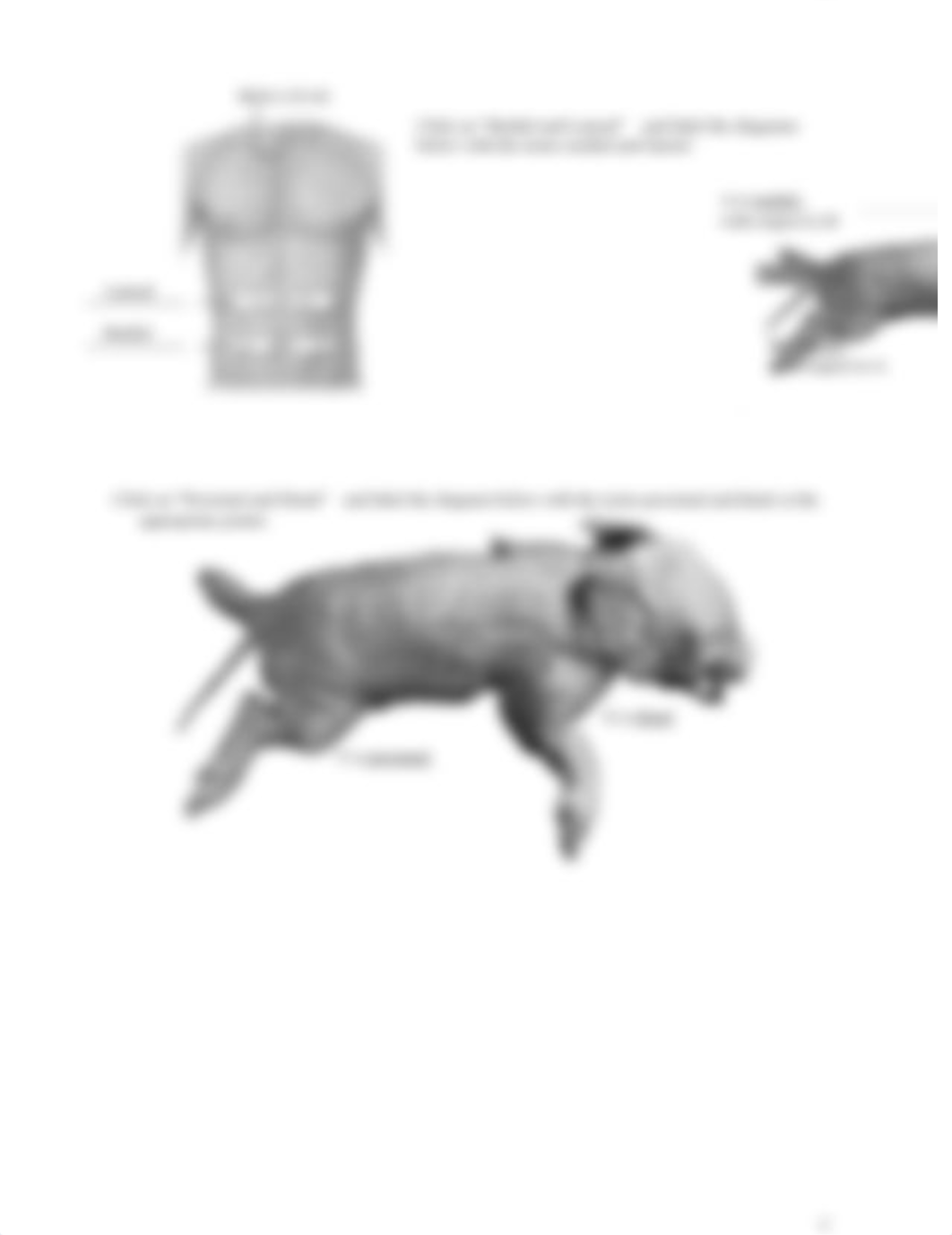 Virtual Pig Dissetion -Mataya Larner.docx_dvvy112x0ql_page2