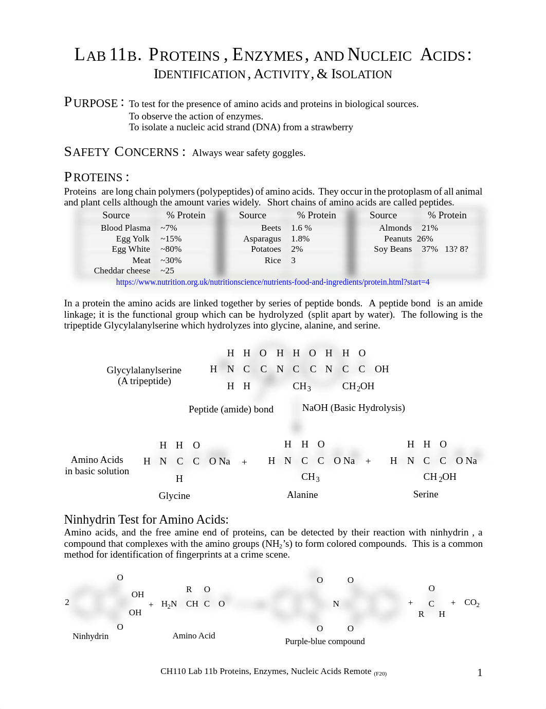 11b CH110 Lab 11b Proteins, Enzymes, & Nucleic Acids Remote F20.pdf_dvw0k3jgpbt_page1