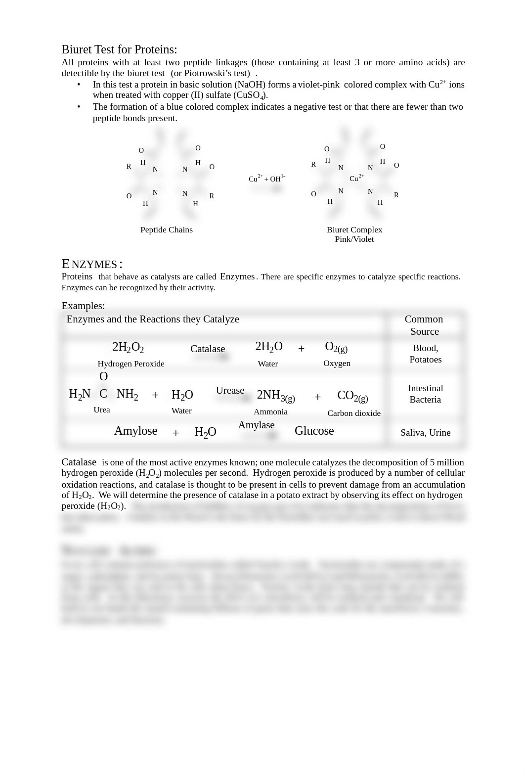 11b CH110 Lab 11b Proteins, Enzymes, & Nucleic Acids Remote F20.pdf_dvw0k3jgpbt_page2