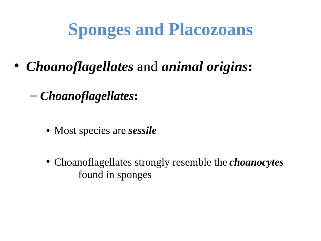 06 - Sponges and Placozoans.ppt_dvw3sezmfxz_page3