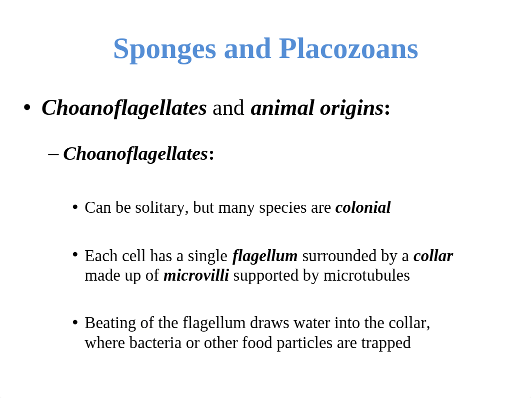 06 - Sponges and Placozoans.ppt_dvw3sezmfxz_page1