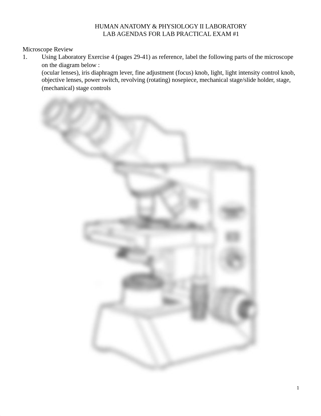 Lab Agendas for Lab Practical Exam #1.docx_dvweiyte7qr_page1