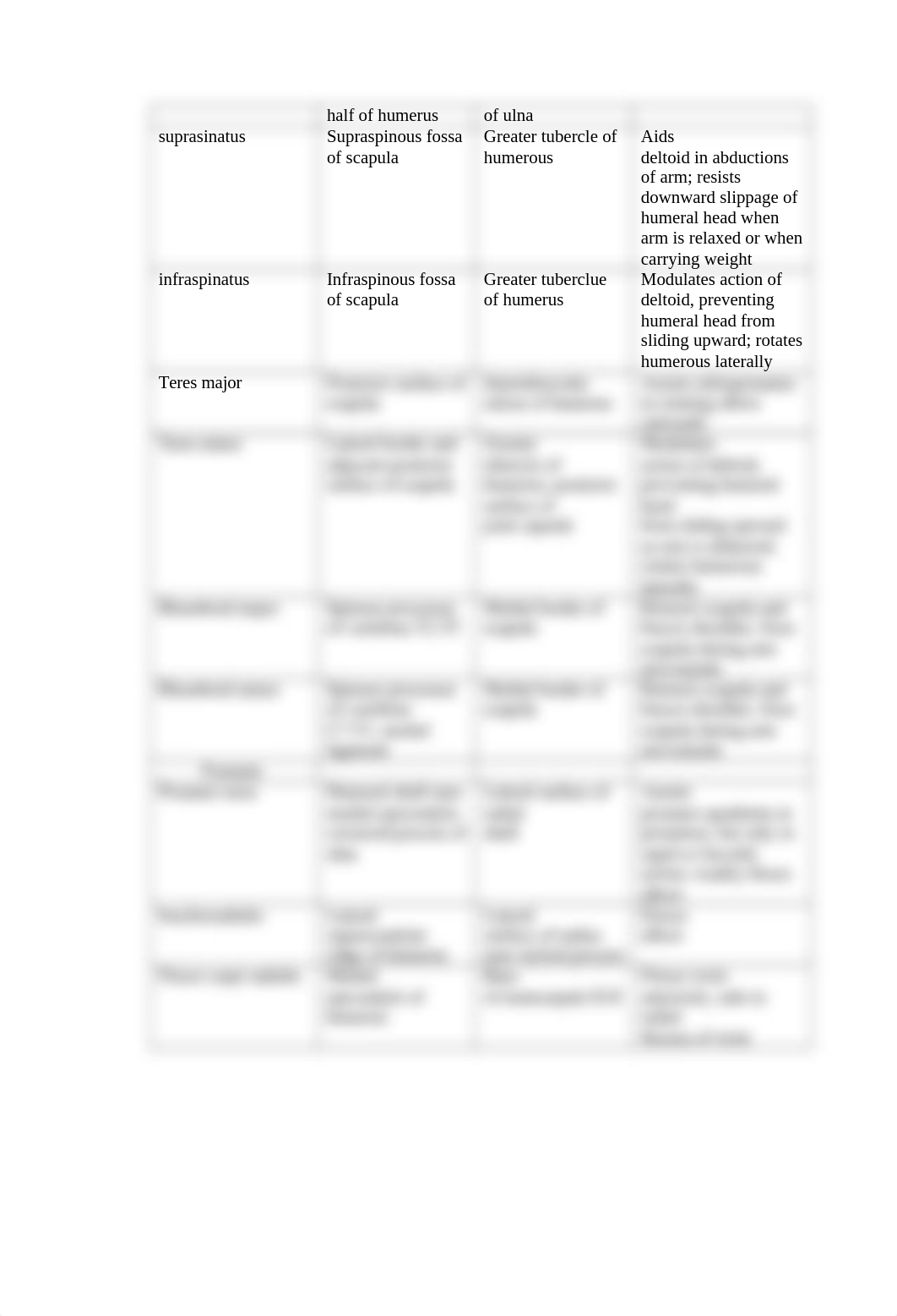 BIO 141 SBell Lab Muscular System.docx_dvwfllrcsf8_page3