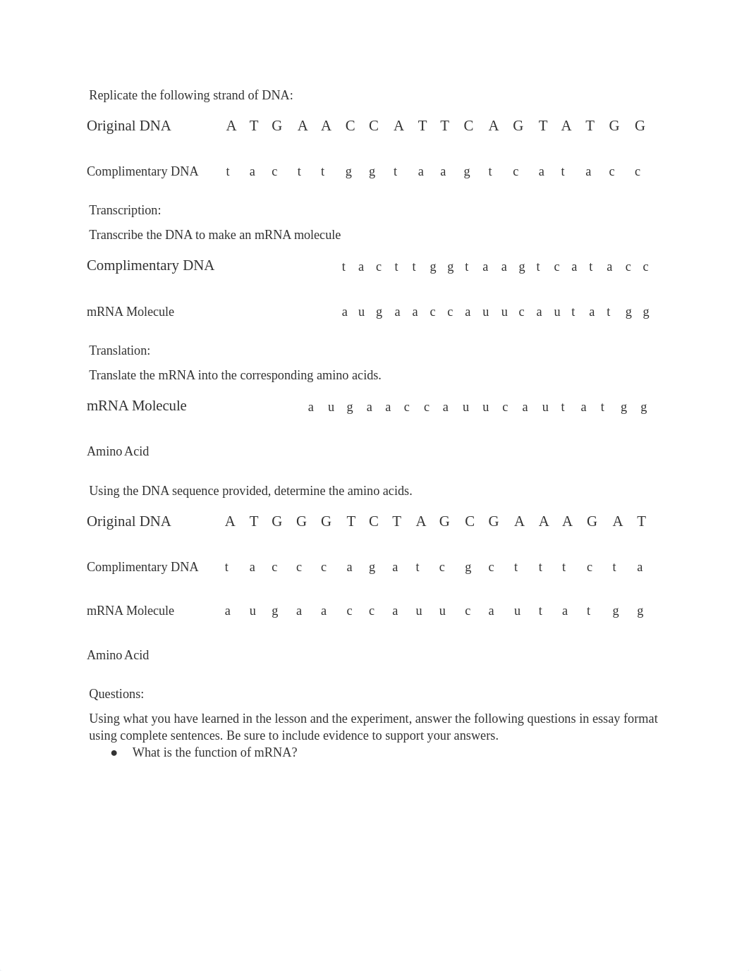 Replicate_the_following_strand_of_DNA_dvwg2dmxq6f_page1