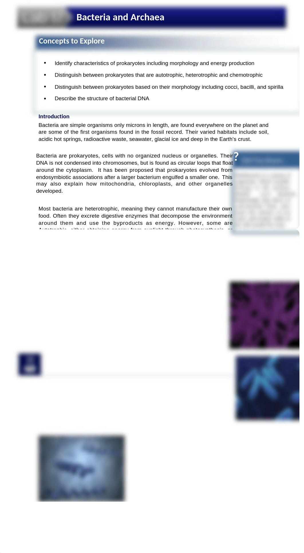 Lab 17 Report (complete).docx_dvwg5uevs66_page1