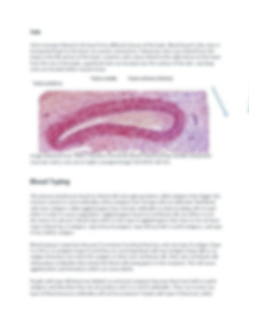 BIOL& 242 Lab #3.docx_dvwjz0hr5aa_page2